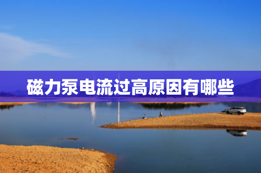 磁力泵电流过高原因有哪些