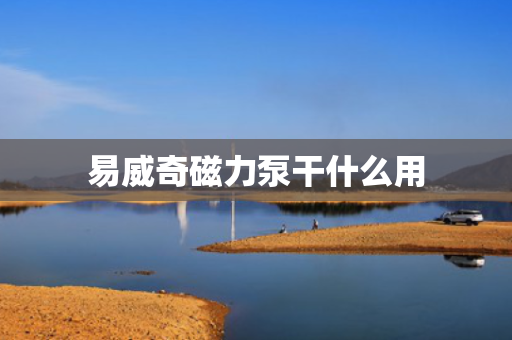 易威奇磁力泵干什么用