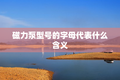 磁力泵型号的字母代表什么含义