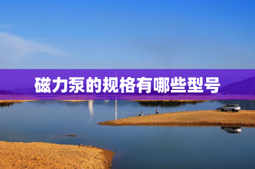 磁力泵的规格有哪些型号
