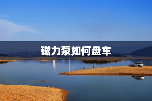 磁力泵如何盘车