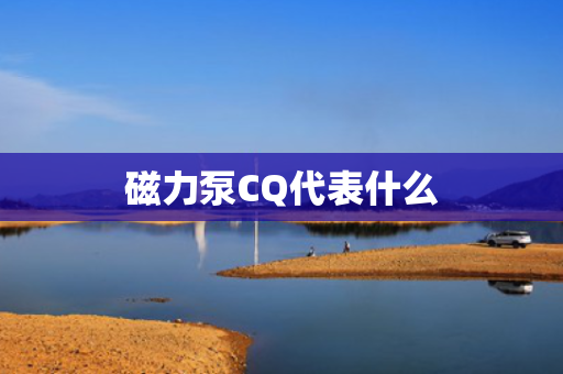 磁力泵CQ代表什么