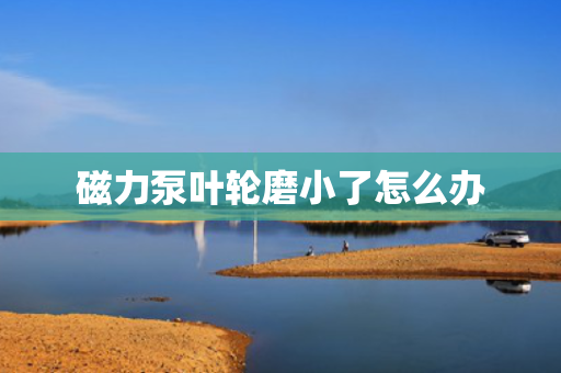 磁力泵叶轮磨小了怎么办