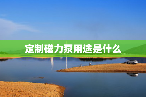 定制磁力泵用途是什么