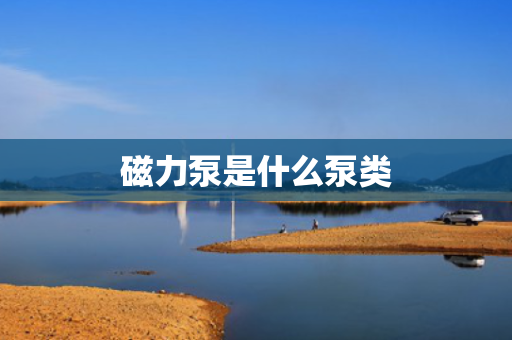 磁力泵是什么泵类