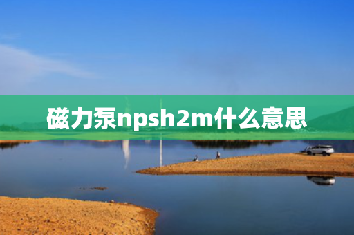 磁力泵npsh2m什么意思