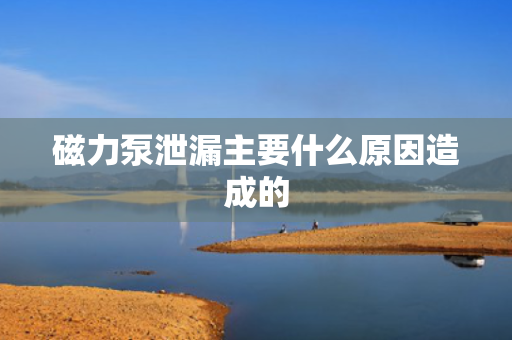 磁力泵泄漏主要什么原因造成的