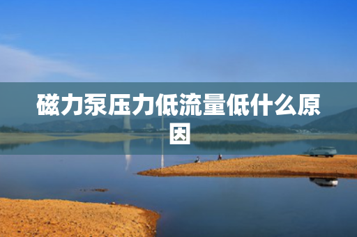 磁力泵压力低流量低什么原因