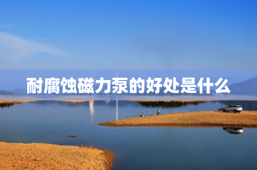 耐腐蚀磁力泵的好处是什么
