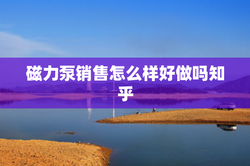 磁力泵销售怎么样好做吗知乎