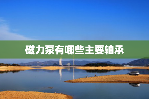 磁力泵有哪些主要轴承