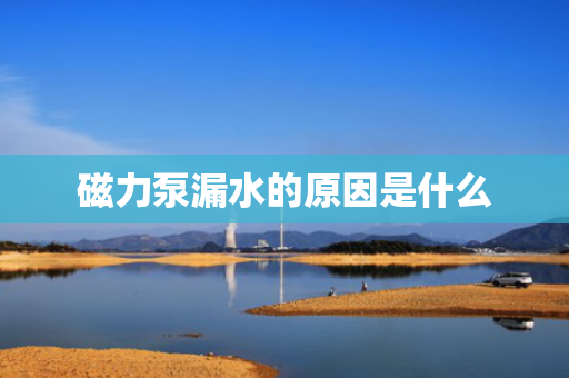 磁力泵漏水的原因是什么