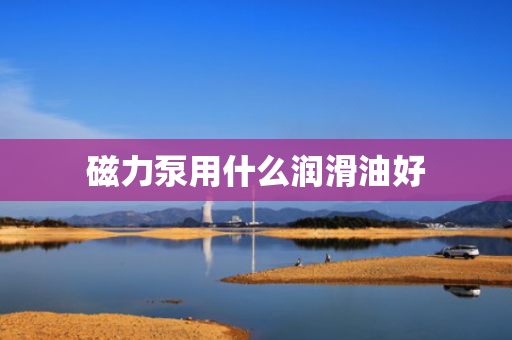 磁力泵用什么润滑油好