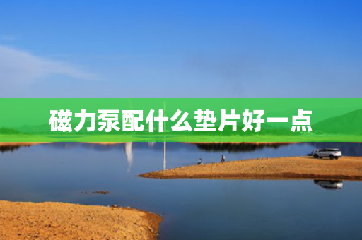 磁力泵配什么垫片好一点
