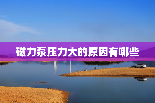 磁力泵压力大的原因有哪些
