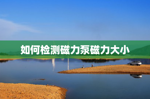 如何检测磁力泵磁力大小