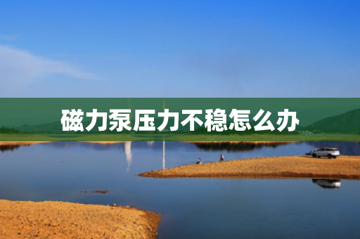 磁力泵压力不稳怎么办