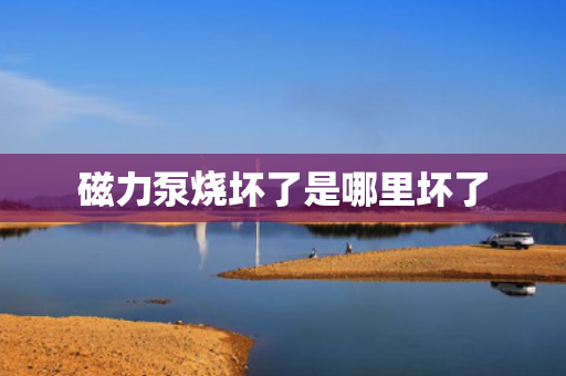 磁力泵烧坏了是哪里坏了