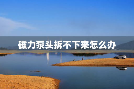 磁力泵头拆不下来怎么办