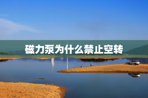 磁力泵为什么禁止空转