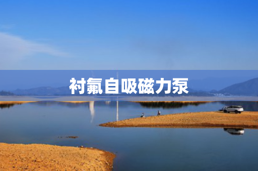 衬氟自吸磁力泵