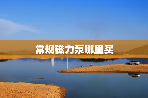 常规磁力泵哪里买