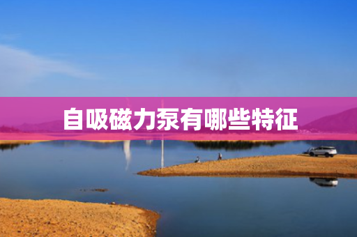 自吸磁力泵有哪些特征