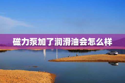 磁力泵加了润滑油会怎么样