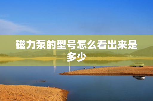磁力泵的型号怎么看出来是多少