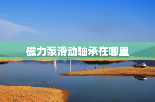 磁力泵滑动轴承在哪里