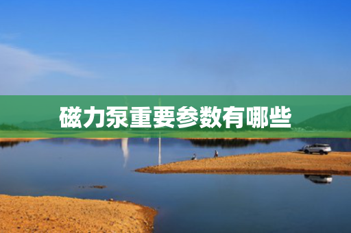 磁力泵重要参数有哪些