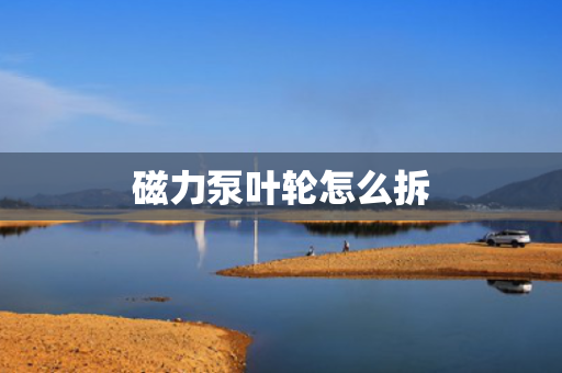 磁力泵叶轮怎么拆