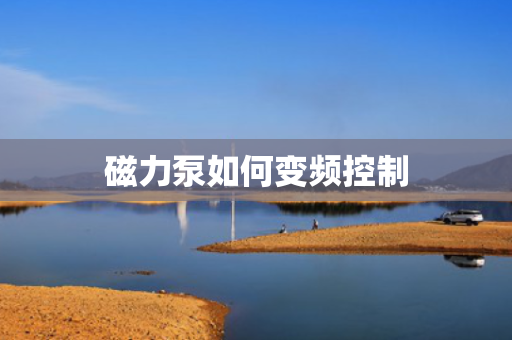 磁力泵如何变频控制