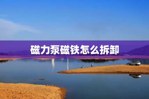 磁力泵磁铁怎么拆卸