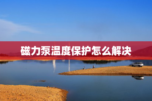 磁力泵温度保护怎么解决