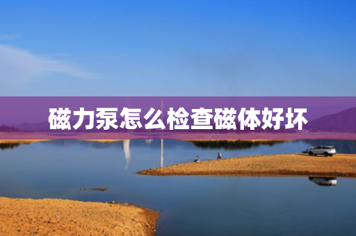 磁力泵怎么检查磁体好坏