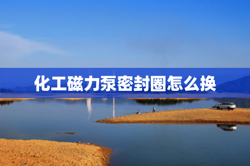 化工磁力泵密封圈怎么换