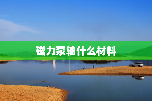 磁力泵轴什么材料