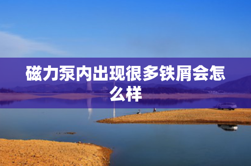 磁力泵内出现很多铁屑会怎么样