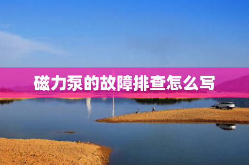 磁力泵的故障排查怎么写