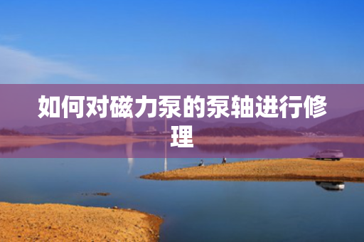 如何对磁力泵的泵轴进行修理