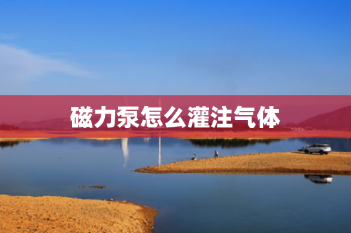 磁力泵怎么灌注气体