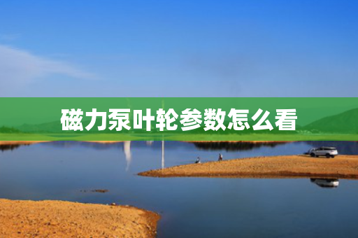磁力泵叶轮参数怎么看