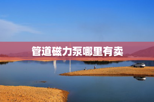 管道磁力泵哪里有卖