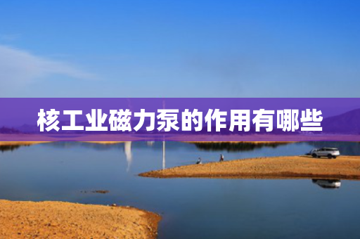 核工业磁力泵的作用有哪些