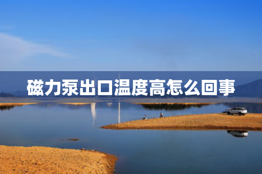 磁力泵出口温度高怎么回事