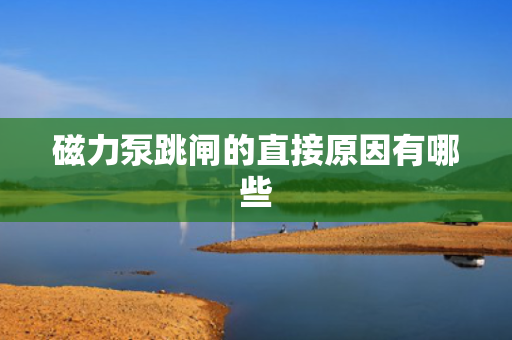 磁力泵跳闸的直接原因有哪些