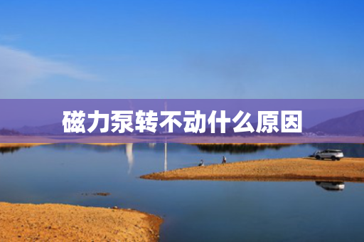 磁力泵转不动什么原因
