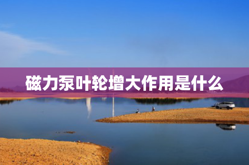 磁力泵叶轮增大作用是什么