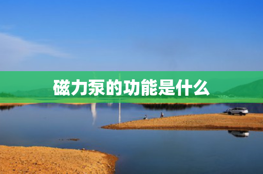磁力泵的功能是什么